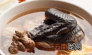 清蒸乌骨鸡窍门 清蒸乌骨鸡的烹饪方法