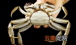 洗螃蟹如何做 教你怎样洗螃蟹