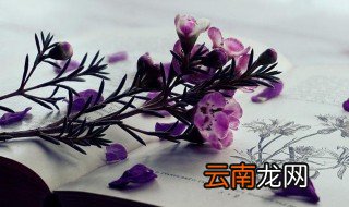 中考百日誓师家长寄语 中考百日誓师家长寄语简短