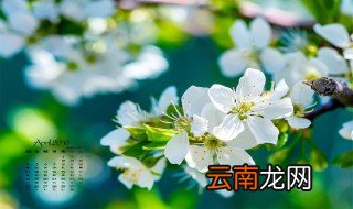 春天是几月份到几月份 关于春天的介绍