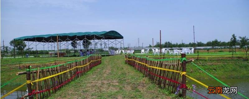10亩地能办家庭农场吗,开农场需要什么条件呢