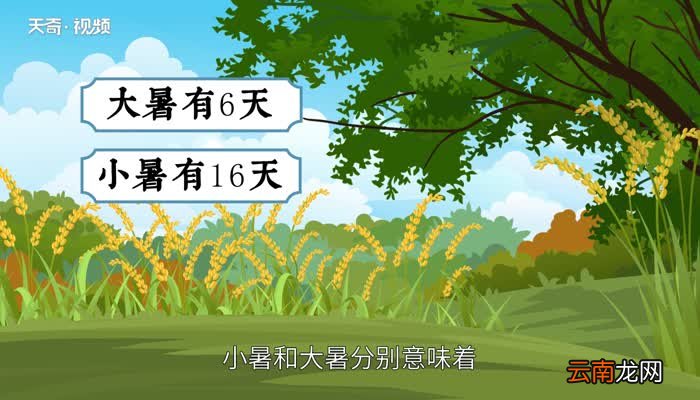大暑有几天小暑有几天 大暑小暑分别有几天