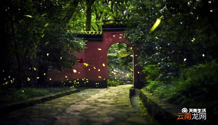 夜宿山寺描写的时间是 夜宿山寺描写的时间是什么时间