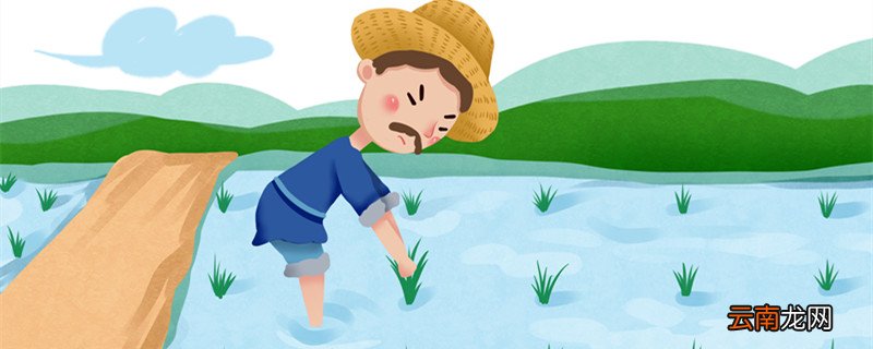 揠苗助长告诉小朋友什么道理 揠苗助长有什么寓意