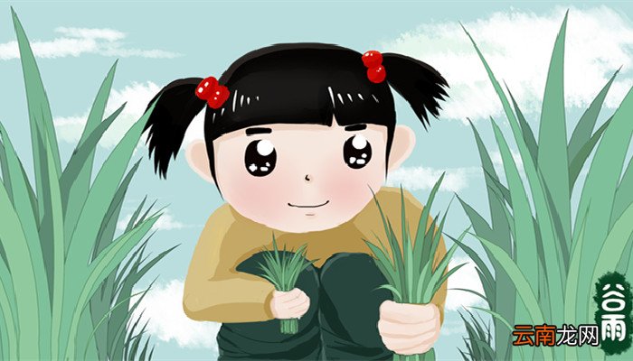 揠苗助长告诉小朋友什么道理 揠苗助长有什么寓意