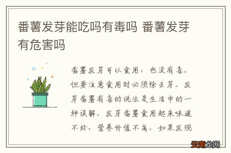 番薯发芽能吃吗有毒吗 番薯发芽有危害吗