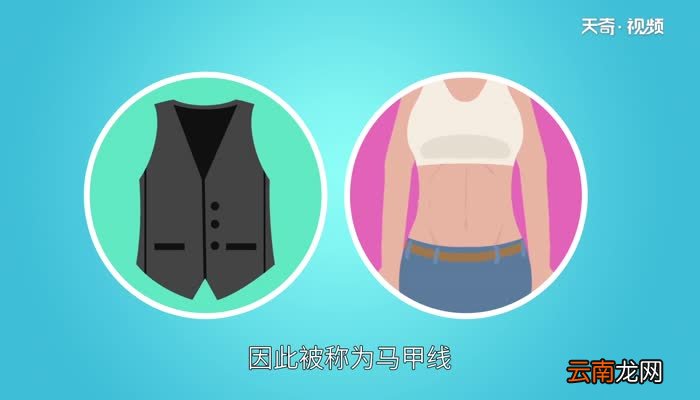什么是马甲线马甲线指的是什么