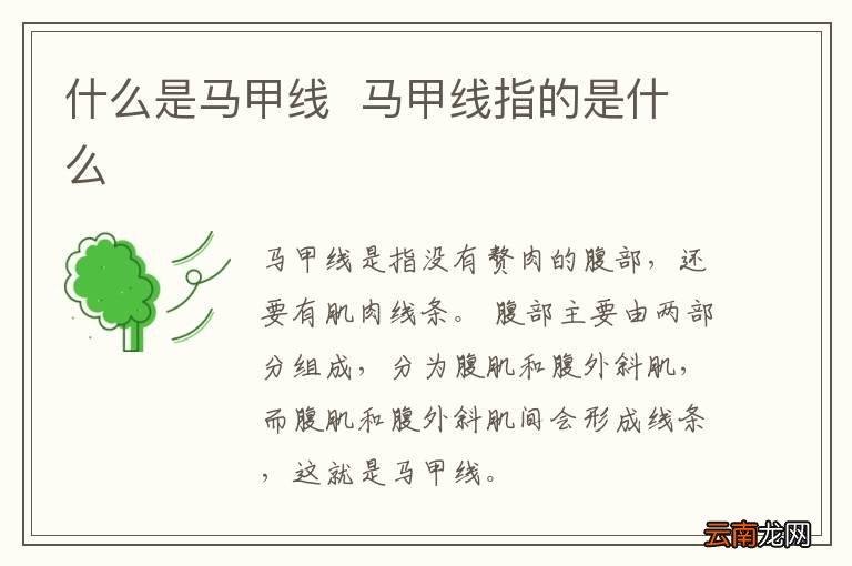 什么是马甲线马甲线指的是什么