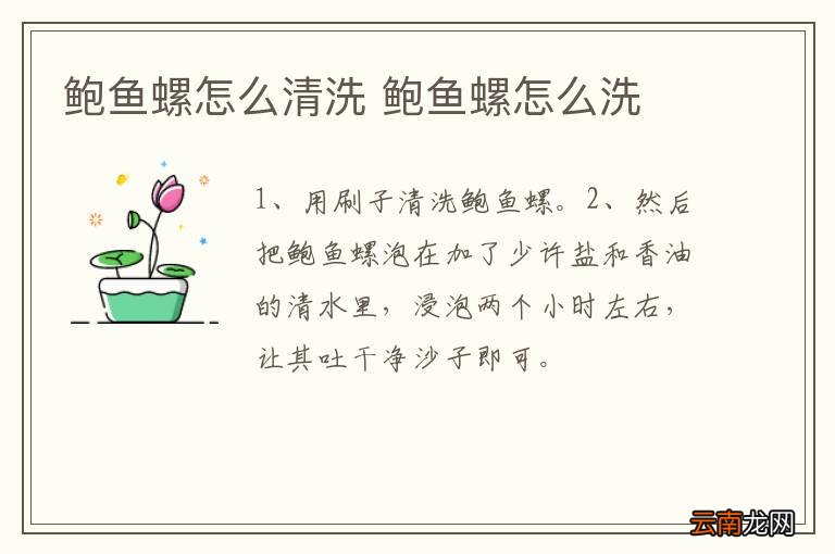 鲍鱼螺怎么清洗 鲍鱼螺怎么洗