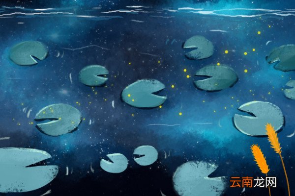 居洛初夏作这首诗的拼音居洛初夏作古诗意思是什么
