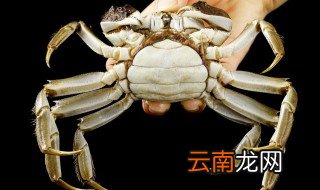 河蟹还能怎么做 如何做河蟹？