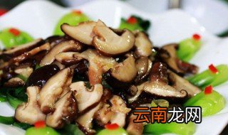 炒冬菇怎么做 清炒冬菇的做法
