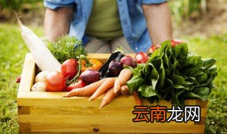 如何做腌小萝卜 怎么做出来的很好吃