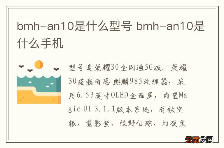 bmh-an10是什么型号 bmh-an10是什么手机