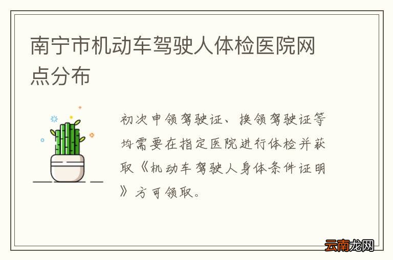 南宁市机动车驾驶人体检医院网点分布