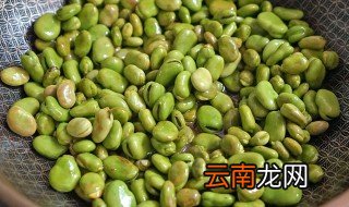 新鲜的胡豆要怎么收藏才保鲜 新鲜的胡豆怎么保存
