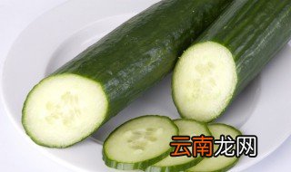 隔夜青瓜怎么保鲜 怎样保鲜隔夜青瓜