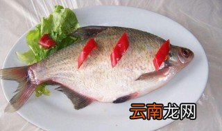 杀好的武昌鱼怎么保存保鲜 如何保存杀好的武昌鱼