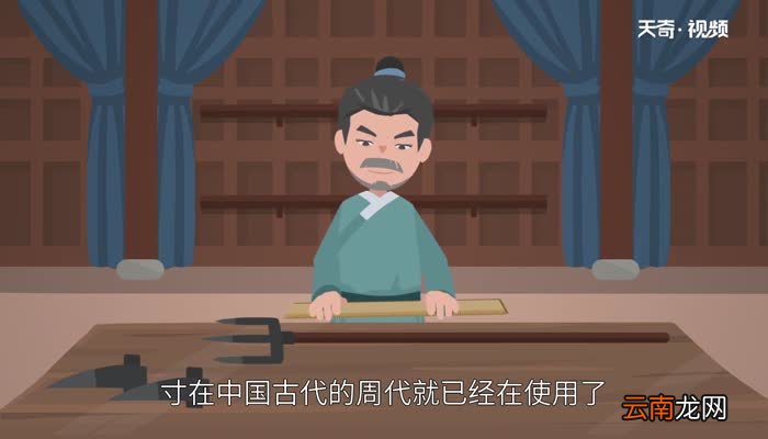 20寸是多少厘米 20寸是多大