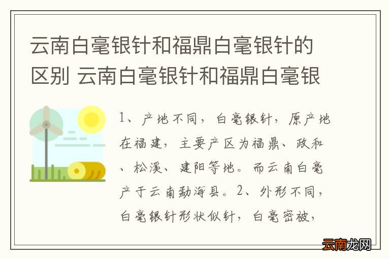 云南白毫银针和福鼎白毫银针的区别 云南白毫银针和福鼎白毫银针的区别在哪
