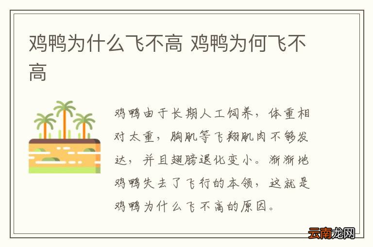 鸡鸭为什么飞不高 鸡鸭为何飞不高