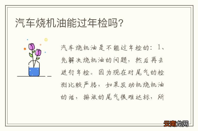 汽车烧机油能过年检吗?
