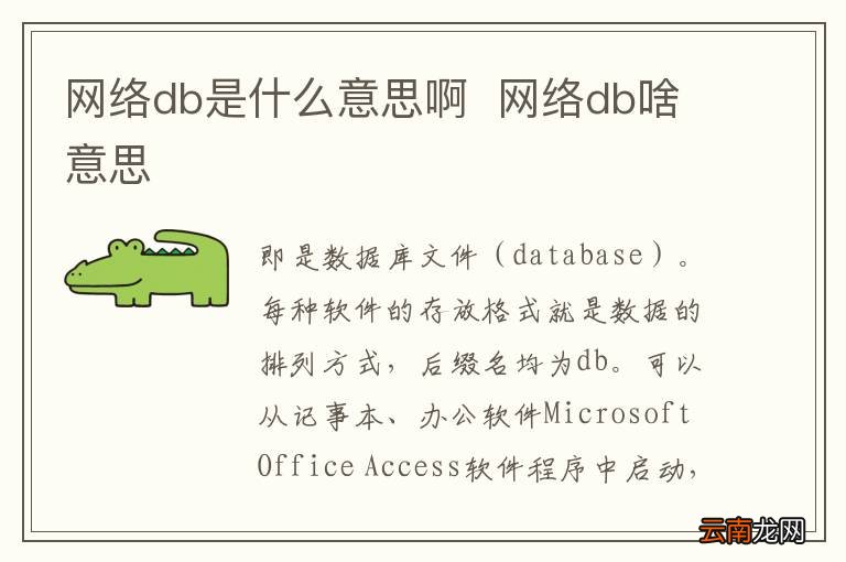 网络db是什么意思啊网络db啥意思