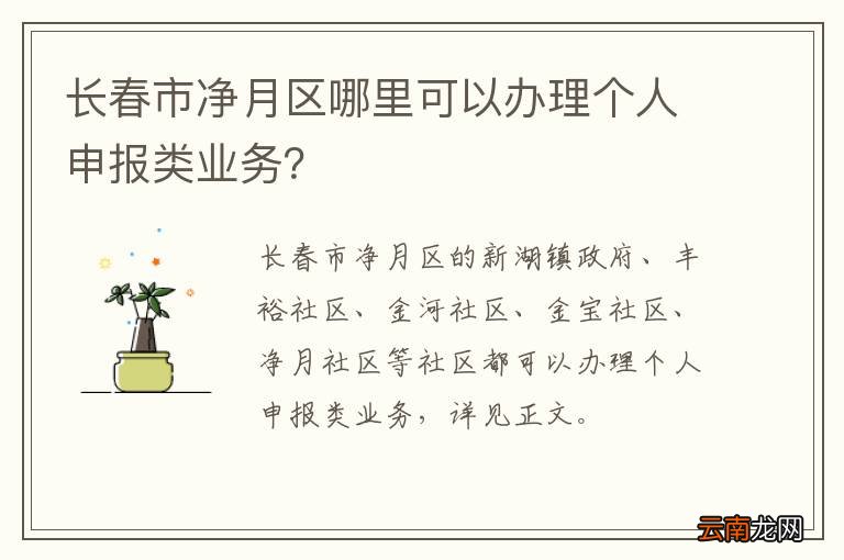 长春市净月区哪里可以办理个人申报类业务?
