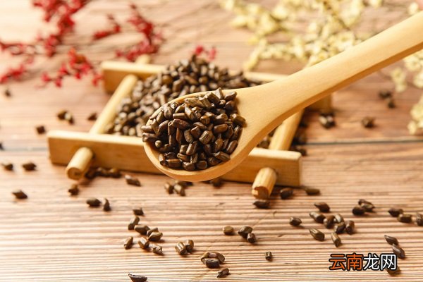 觉明子茶功效 决明子茶有什么作用