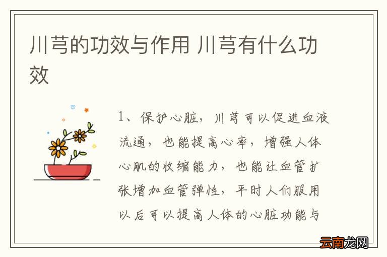 川芎的功效与作用 川芎有什么功效
