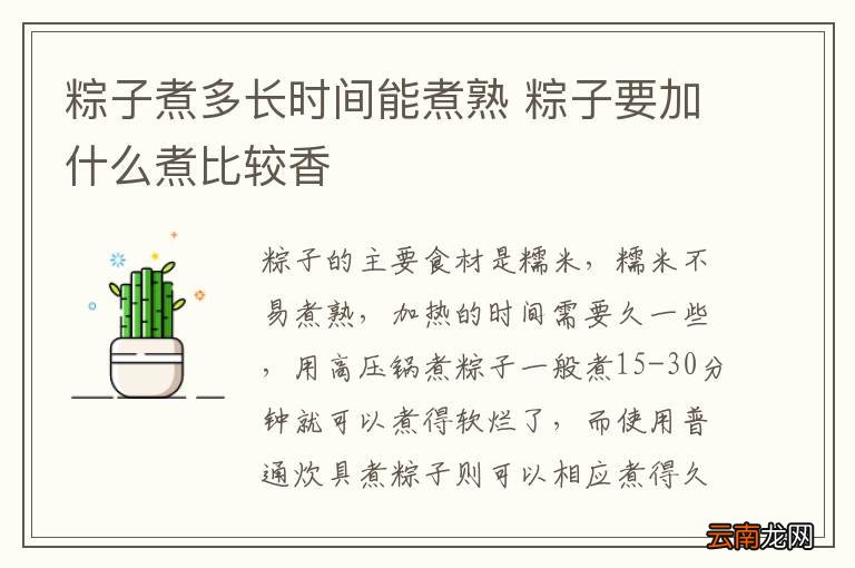 粽子煮多长时间能煮熟 粽子要加什么煮比较香