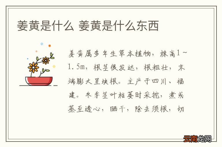 姜黄是什么 姜黄是什么东西
