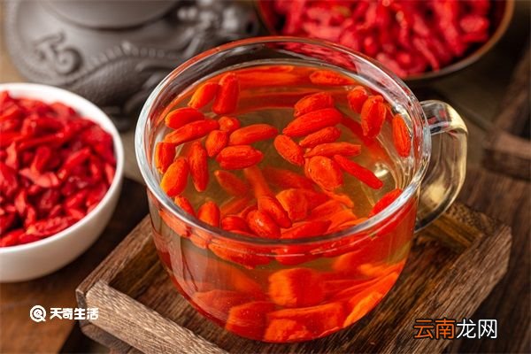 杭白菊枸杞子茶功效 杭白菊枸杞子茶的功效
