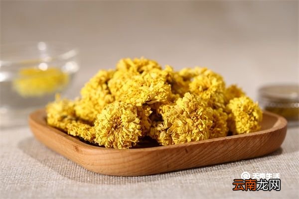 杭白菊枸杞子茶功效 杭白菊枸杞子茶的功效