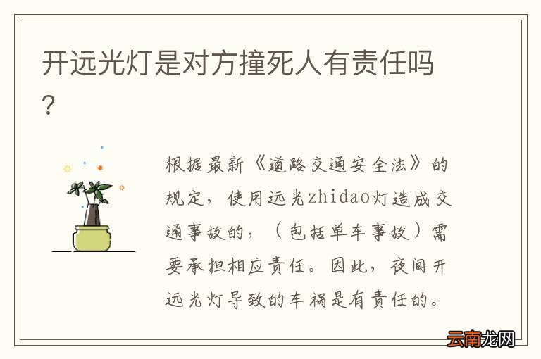 开远光灯是对方撞死人有责任吗?