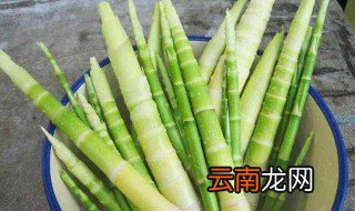竹笋和冬笋一样吗 竹笋的简介