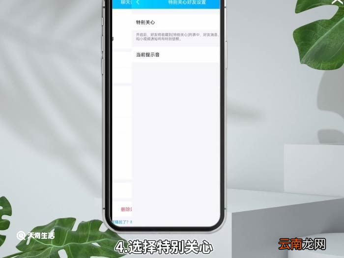 qq特别关心有什么用 qq特别关注和特别关心一样吗