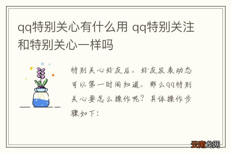 qq特别关心有什么用 qq特别关注和特别关心一样吗
