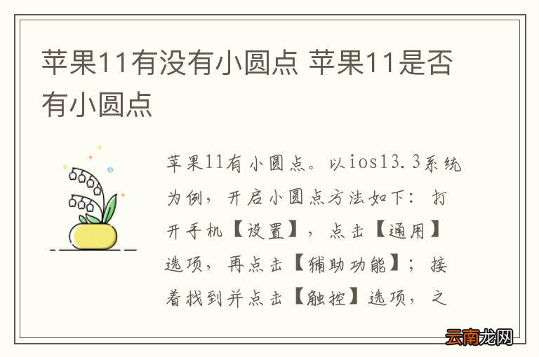 苹果11有没有小圆点 苹果11是否有小圆点