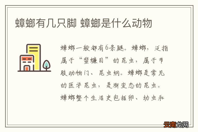 蟑螂有几只脚 蟑螂是什么动物