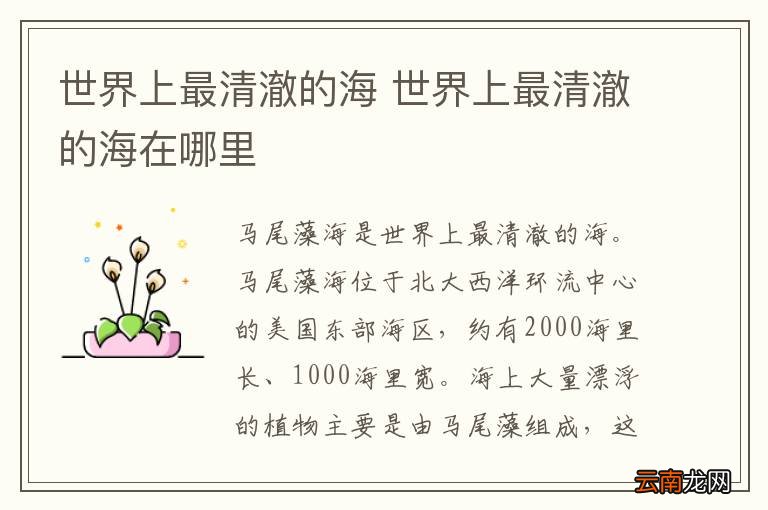 世界上最清澈的海 世界上最清澈的海在哪里