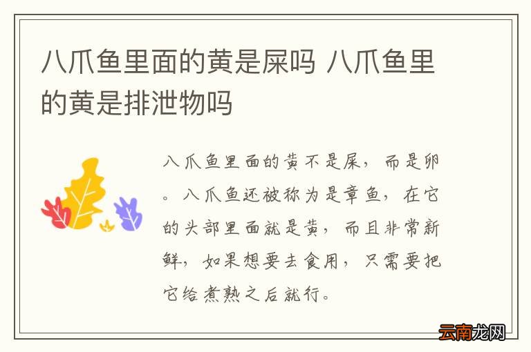 八爪鱼里面的黄是屎吗 八爪鱼里的黄是排泄物吗