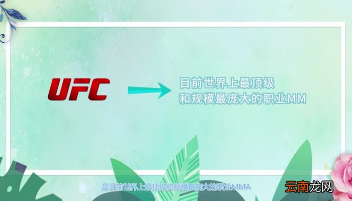 UFC是什么 mma跟UFC有什么区别