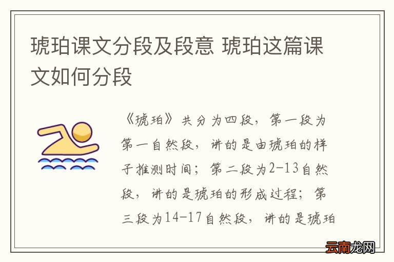 琥珀课文分段及段意 琥珀这篇课文如何分段