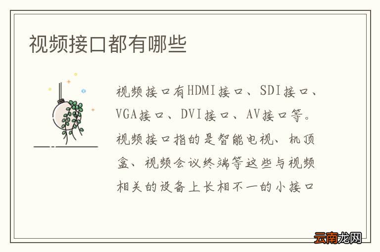 视频接口都有哪些