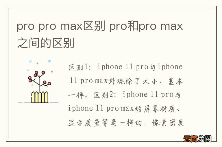 pro pro max区别 pro和pro max之间的区别