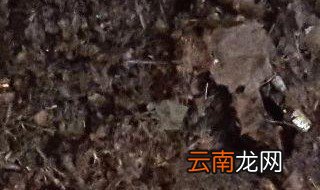 腐殖土制作过程 腐殖土制作过程是怎么样