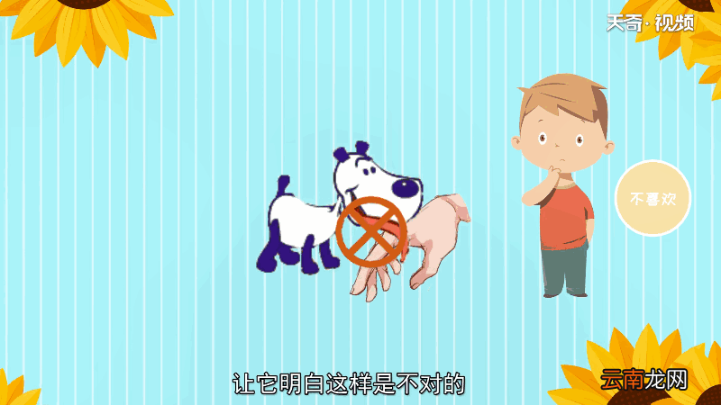 狗为什么喜欢舔主人的手脚 狗为何喜欢舔主人的手脚