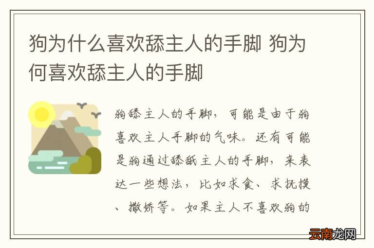 狗为什么喜欢舔主人的手脚 狗为何喜欢舔主人的手脚