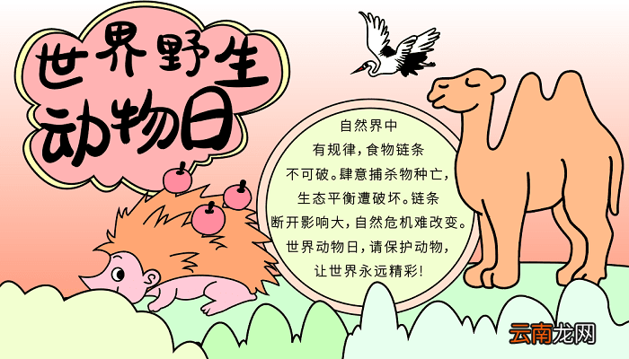 世界野生动物日手抄报资料 世界动物日的手抄报怎么画